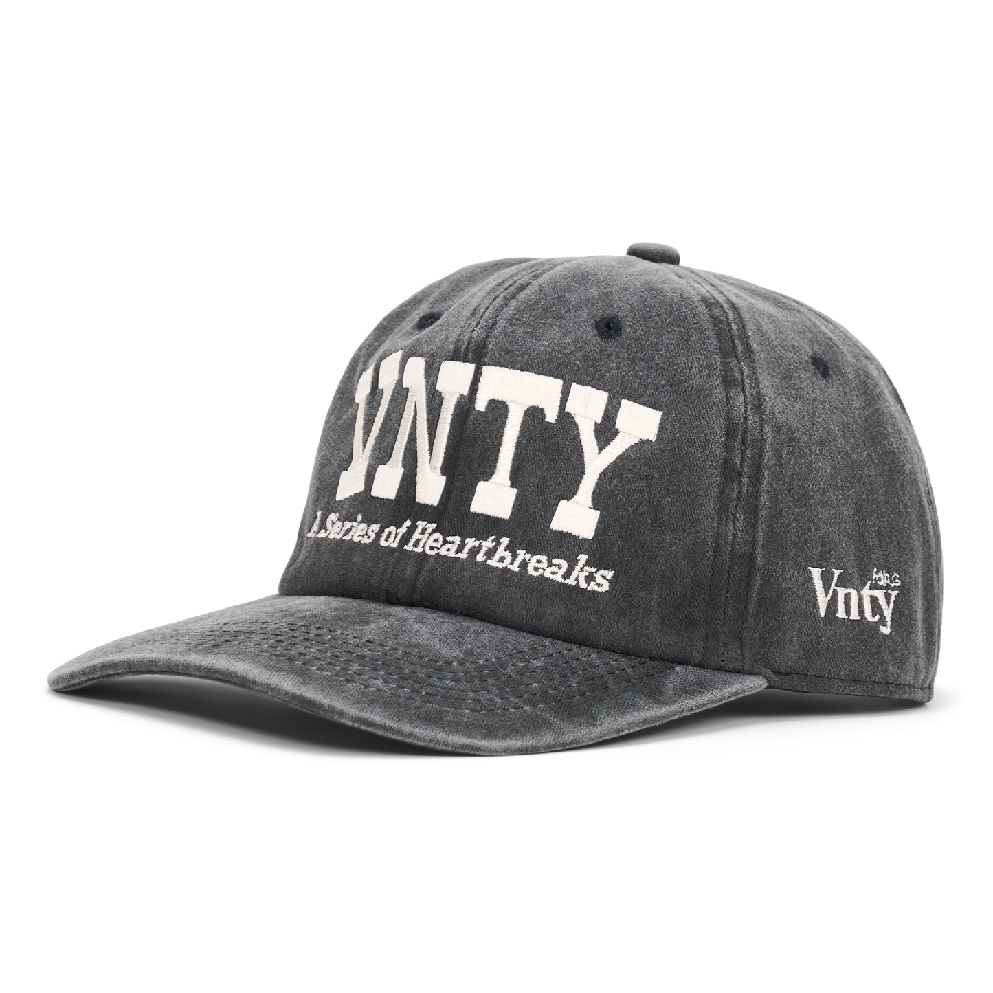 Vnty Series Hat (Washed Black)