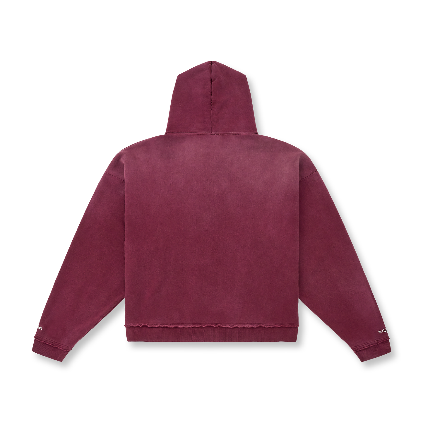 In This Life & The Next Zip Hoodie (Washed Red)